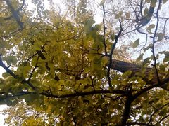 android_upload_pic-八大关景区