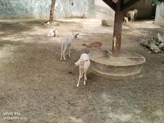 -成都动物园