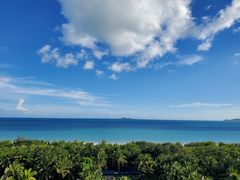 -三亚湾海居铂尔曼度假酒店