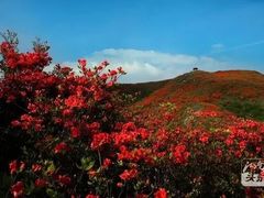 -大围山峡谷漂流