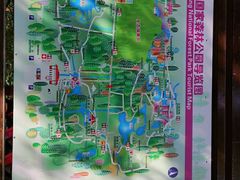 -东平国家森林公园