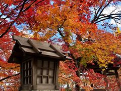 -常寂光寺