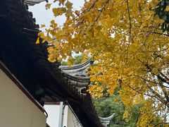 -西园寺素食(西园弄戒幢律寺店)