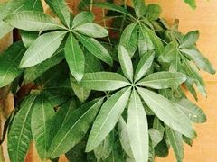 -上康中医脊椎理疗馆