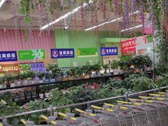-大润发(张江店)
