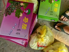 -马陆小张葡萄园农家乐