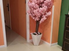 -泰古龙抓龙筋·spa按摩(浦东店)