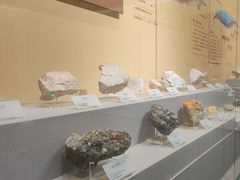 -湖南省地质博物馆