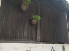 -黎里古镇