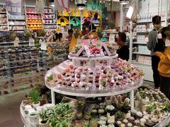 -KKV(深圳kk one 店)