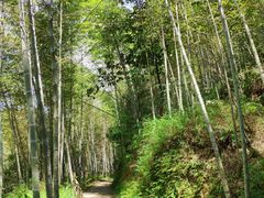 -千泷沟大瀑布旅游区