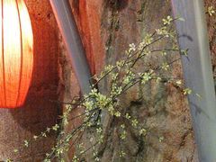 -破瓦寒窑·地摊烤羊排