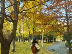 -白塘生态植物园