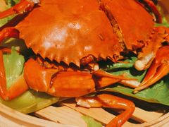 -浙C老邻舍(西城海错店)
