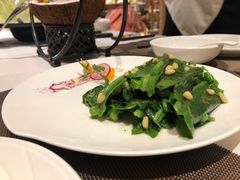 松子炒山苏叶-若蘭慈·无国界素食料理(欢乐海岸店)