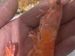 -沿海渔家院蒸汽海鲜·东北菜(东戴河店)