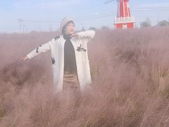 -羊亭河湿地公园