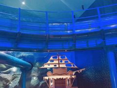 -青岛嘉年华主题乐园