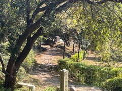 -一鼎牛鲜活牛肉城(晋江海峡国际食品城店)