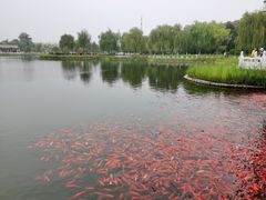-西海子公园
