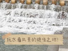 -上南瓦煲鸡·清远鸡·老字号(总店)