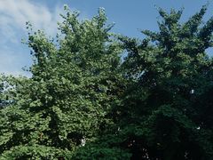 -贵州沾水米线(学田湾店)