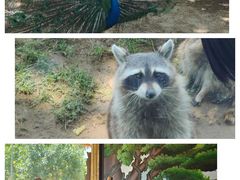 -石家庄市动物园