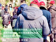 -上海佘山国家森林公园西佘山园