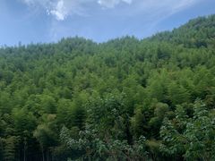 -将军关探险漂流