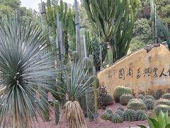 -深圳仙湖植物园