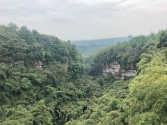 -川西竹海景区