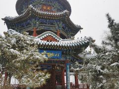 -迎泽公园