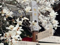 -龙华寺