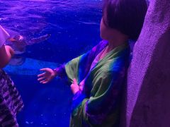 -暹罗海洋世界