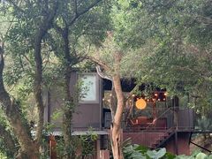 -福建鲤鱼洲酒店