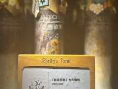 -雪灵魔法世界SHELLY’S TAROT(大良桂畔里店)