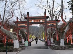 -杭州黄龙洞