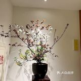 长沙美食|聚餐聚会好去处——晴溪莊园 