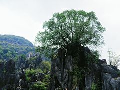 -玉石林风景区