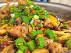 -食神又名厕所兔