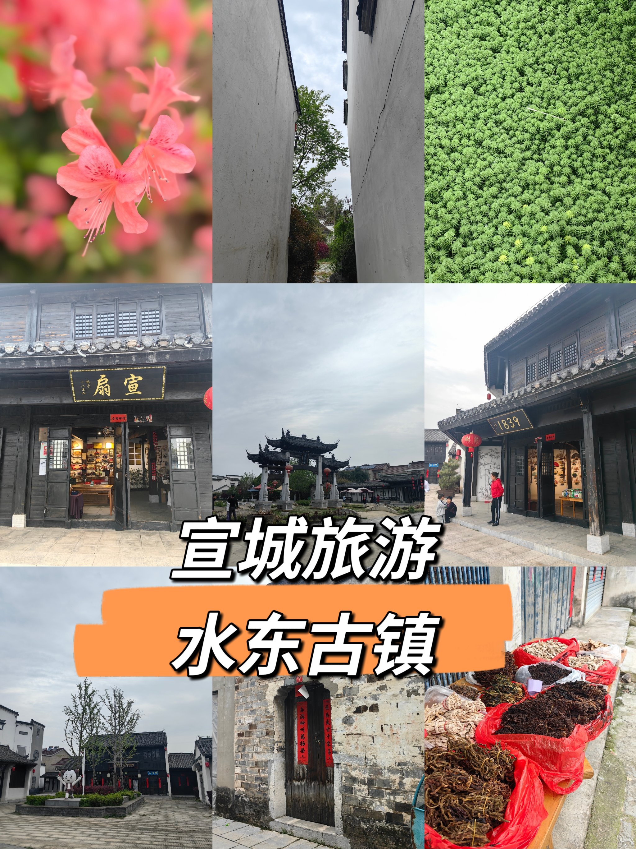 宣城水东旅游景点图片