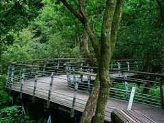 -西湖风景区-江洋畈生态公园