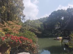 -檀园