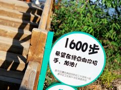 -大岭沟猕猴桃谷风景区