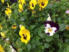 -揭东万竹园旅游景区