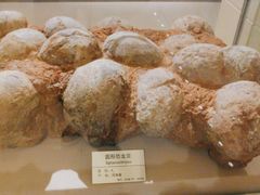 -甘肃地质博物馆