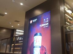 -霸王茶姬(上海恒基名人店)