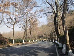 -中国茶叶博物馆(双峰馆区)