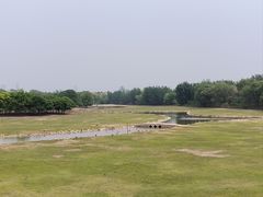 -北京麋鹿生态实验中心