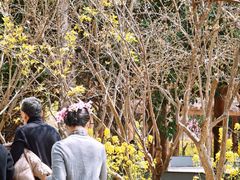 -南汇桃花村